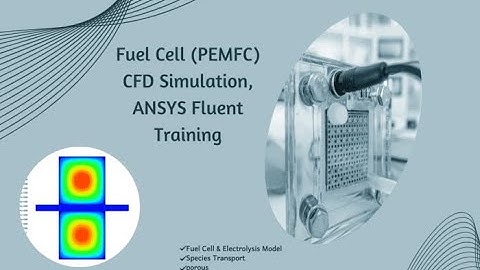 Polymer Electrolyte Membrane Fuel Cell PEMFC
