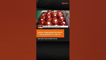 India has begun commercial exports of Pomegranates after the export ban was lifted in 2022