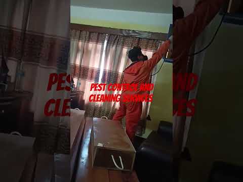 best pest control