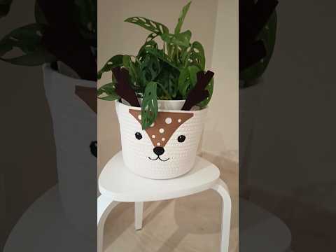 Haul Pepco Homevibes Cozyaesthetic Christmasdecor Homedecor Cozyhome Natale2025 Haulpepco 