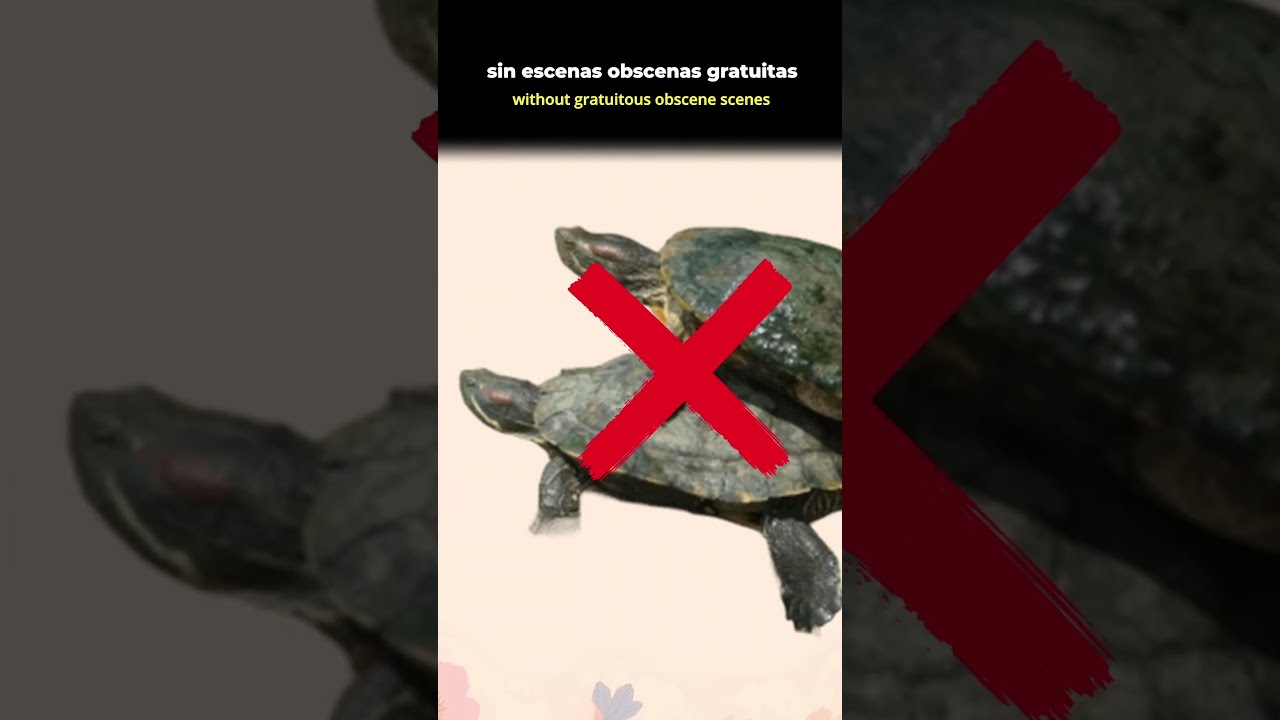 Lo que NO leerás en mi novela de romance 🚫