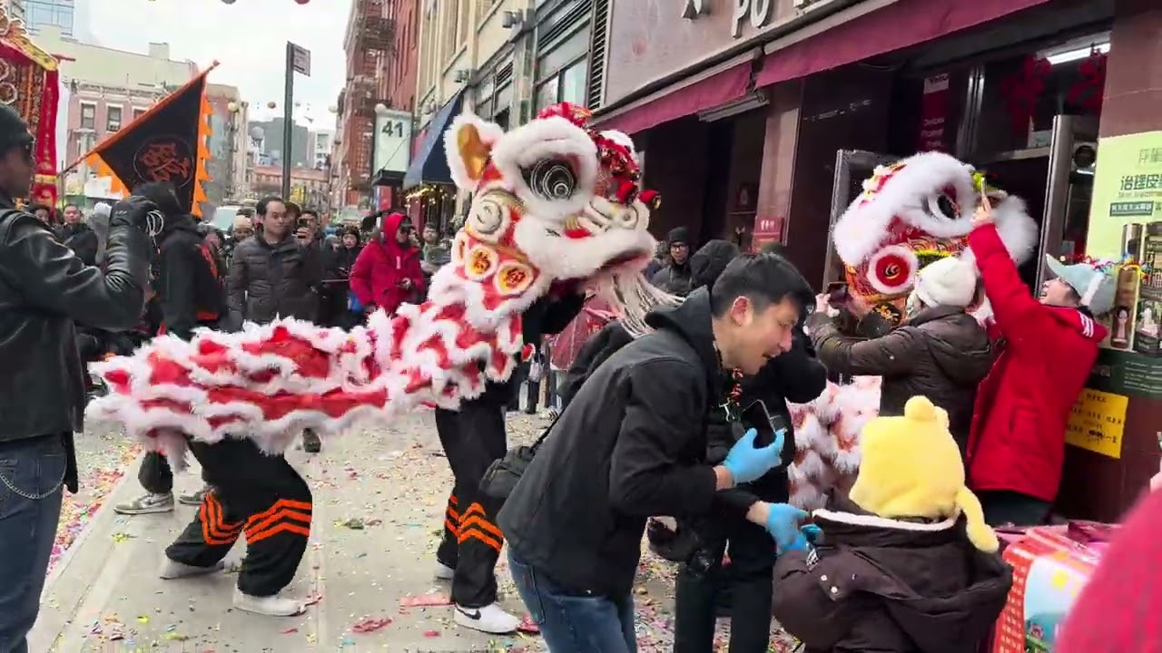 New York Choy Lay Fut Lion Dance @PoWingHong Bench Choy Chang and Lion Dance Drumming-CNY 2025 🦁🥬🧨💥🐍