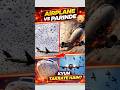 Airplane Vs Birds 🐦 | Dangerous Ya Safe? #airplane #vs #birds
