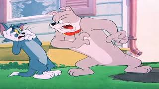 Tom and jerry en español | baby dog ...