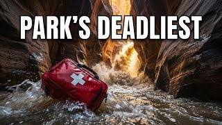 Celebrity Zion Over 50: A Paramedic's Guide to the Park's Deadliest Risks Wealth