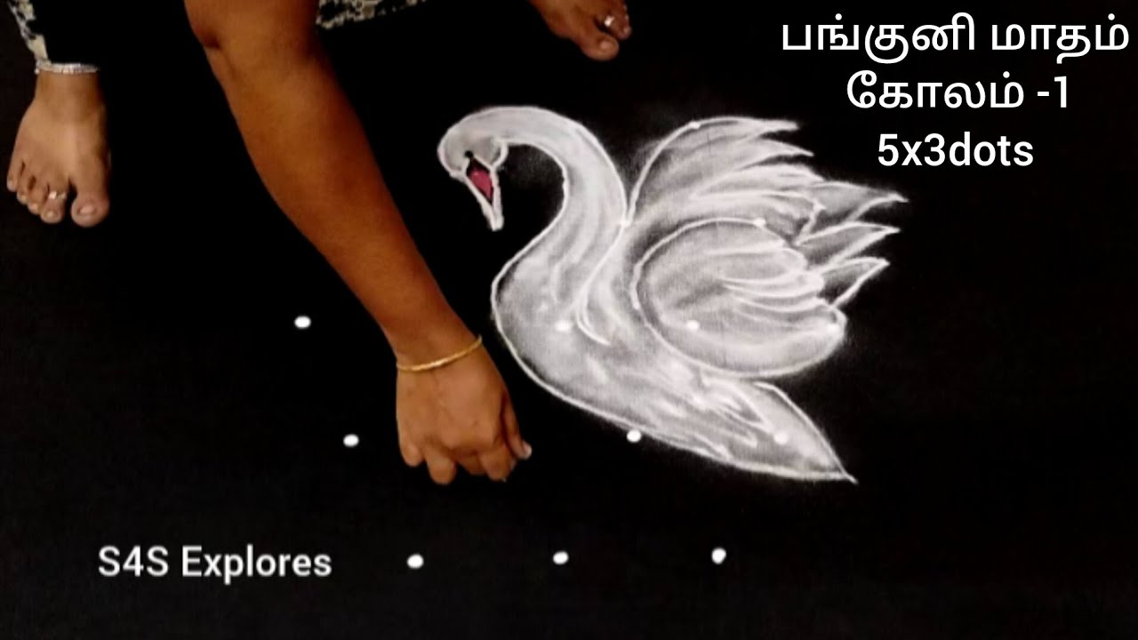 பங்குனி மாதக்கோலம்-1 🌼 அன்னப்பறவை கோலம் 5x3 dots #s4sexplores #dailykolam #colourfulkolam #5x3dots