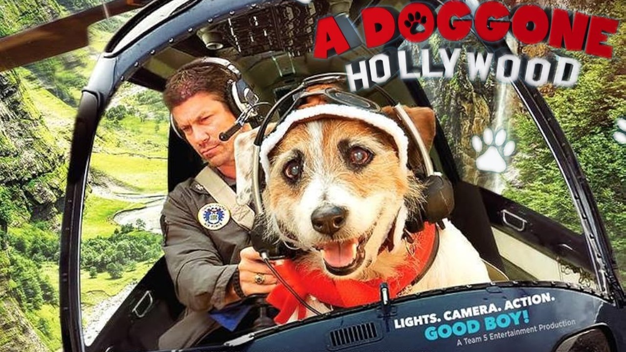 A Doggone Hollywood 2017 Film | Paul Logan, Jesse the Jack Russell Terrier | Jim Wynorski | Review