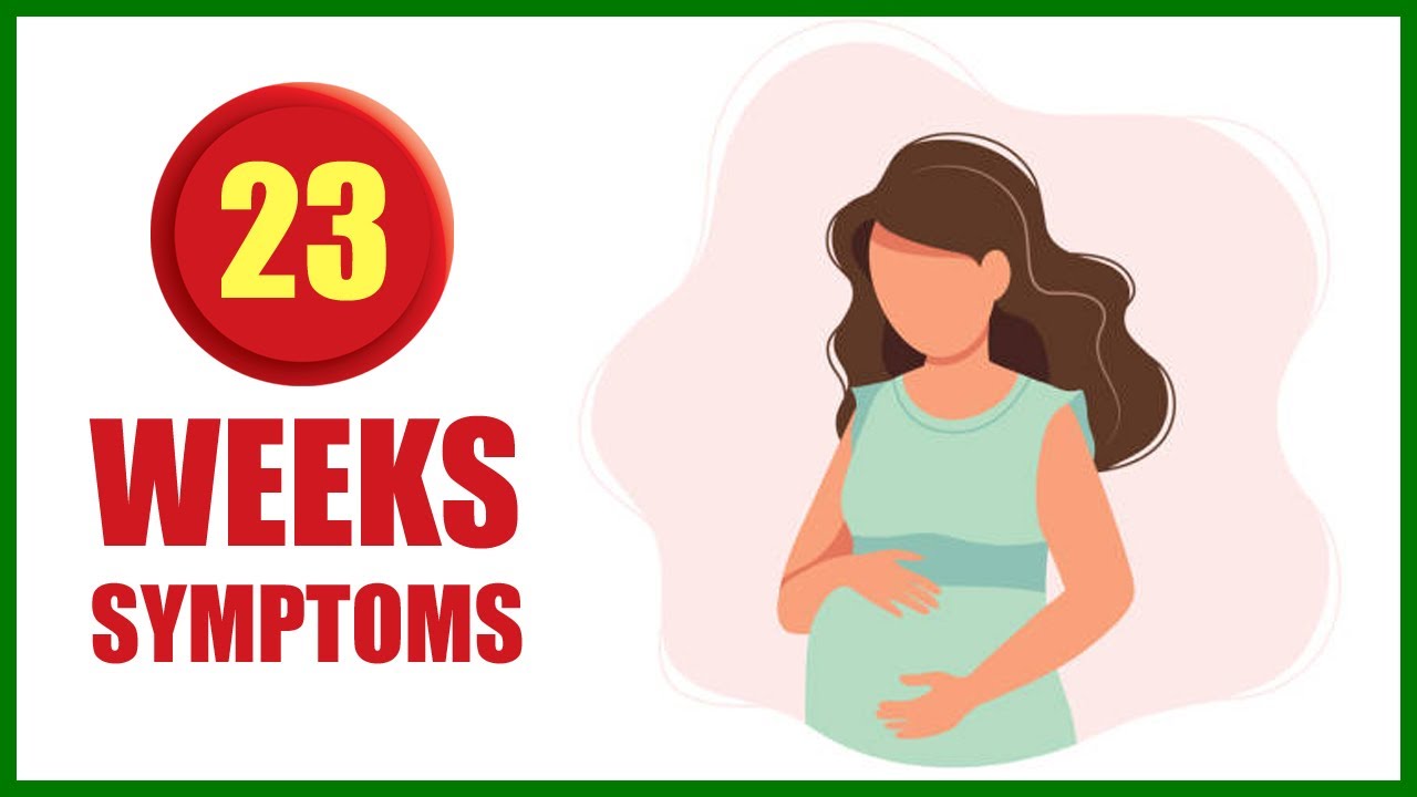 23 Weeks Pregnant Symptoms Baby Size In Womb And Baby Movement YouTube 23 Weeks Pregnant Symptoms Baby Size In Womb And Baby Movement YouTube