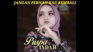 JANGAN PERNAH KAU KEMBALI - Puspa indah (2023)
