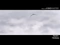 اغنية مفيش بديل [AMV] Tate no yuusha no nariagari