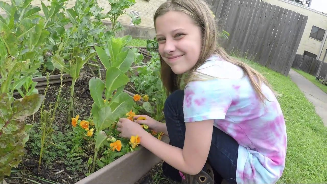 Growing in Grace Children's Music Curriculum - Meet Katy the Poet - YouTube