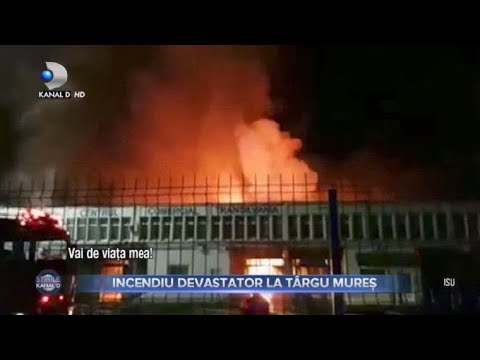 Video: Cum Se Păstrează Irgu în Mod Corespunzător