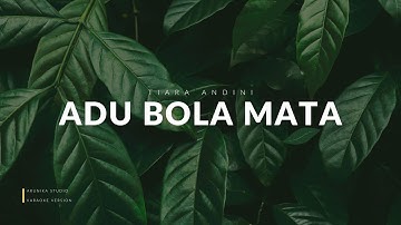 Tiara Andini - Adu Bola Mata (LYRIC) lirik