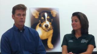 Talking Pets