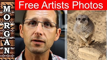 Wildlife Reference Photos - Jason Morgan wildlife art