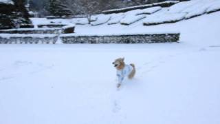 20110215_208.AVI