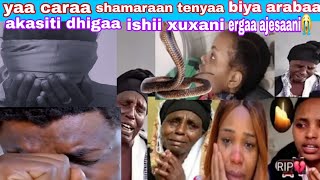 Download lagu Shamaraan tenyaa biyaa arabaa nuu jallaa dhumatan sjesaan dhigaa ishii xuxaan jawedhaaf kenani