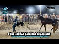 Pé de Mourão do Parque Joaquim Nunes - Maniçoba 