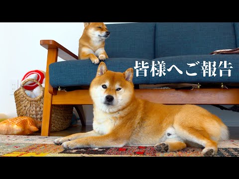 はちくん GZvxlJTaAAIUP6Q.jpg