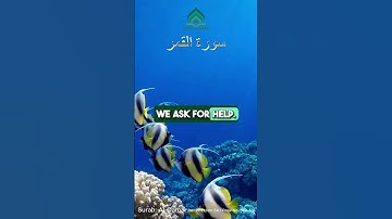 📖 Surah Al-Qamar (سورة القمر) – The Power of Allah’s Command 🌍✨