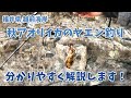 10月下旬 ヤエン釣行 後編：ヤエン実釣