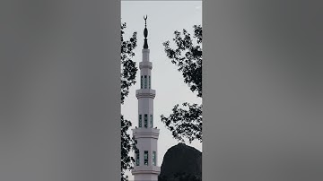 سورة الغاشية | القارئ: أحمد البيطار.