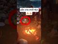 Bone-fire with Drone #thelocalpunjabi #himachal #drone #dji #bonefire #manali #shimla #funny #vital