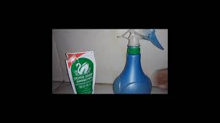 TLE-8 Performance Task.