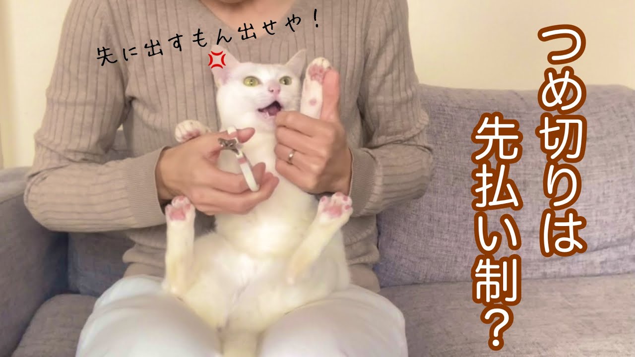 つめ切りは先払い制？