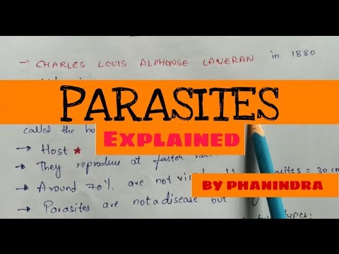 What are Parasites? | Classification of parasites | Types of parasitic infections