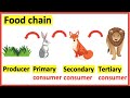 Energy Connections: Unraveling Food Chains in Nature