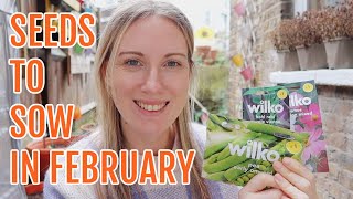 SEEDS TO SOW IN FEBRUARY 2024 / ALLOTMENT GARDENING FOR BEGINNERS