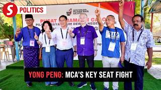 Johor polls: MCA will face campaign calmly, says Dr Wee