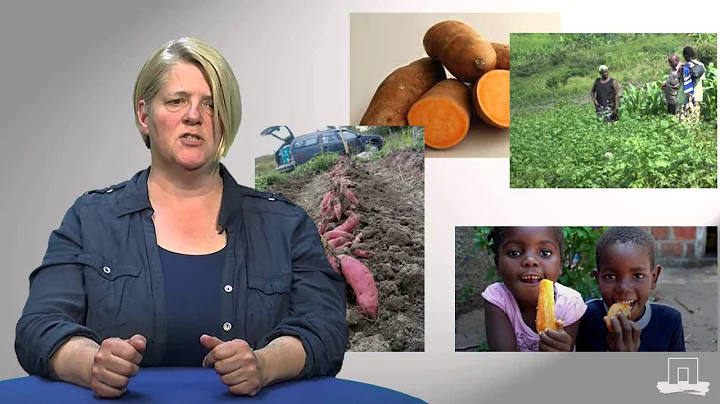 The complementarity of nutrition sensitive and nutrition specific interventions