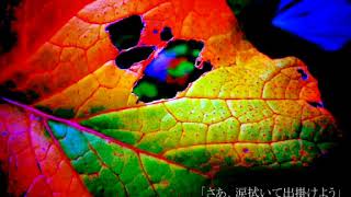 Pillow beside a Dream