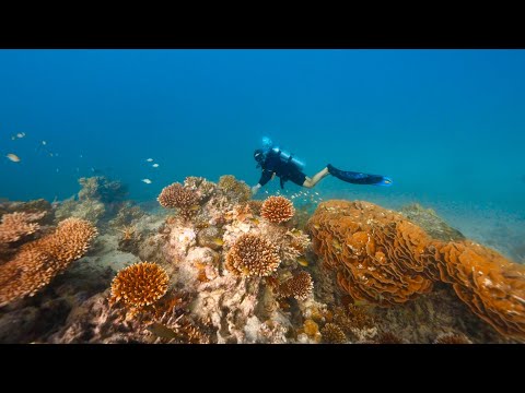 Conrad Maldives Rangali Island — film poster