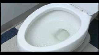 How Flushmate Works