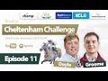 Road to cheltenham challenge 2024 episode 11 cheltenham festival 2024  antepost preview 