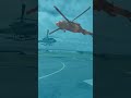 Why do helicopters have two blades?