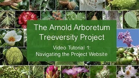 Video Tutorial 1: Navigating the Project Website