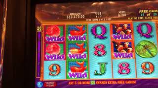 LOTUS FLOWER slot machine MASSIVE JACKPOT! Friday fun! (High limit max bet)