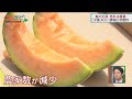 夕張メロン　ファン拡大へ戦略は「食の王国　売れる極意」６月１０日放送