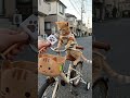 自転車に乗りたい子猫のむぎ🚲💨 | 小貓Mugi想學騎腳踏車啦!🚲💨 #ねこ #cat