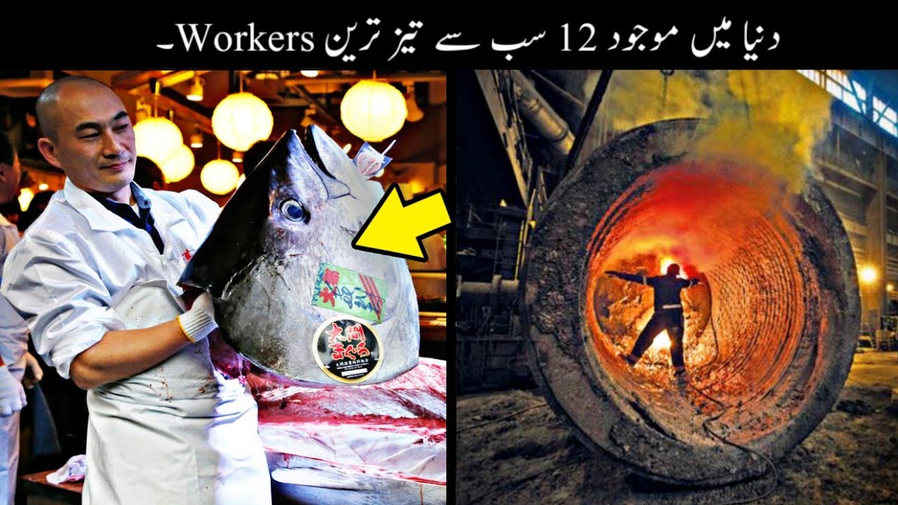 12 Fastest Workers In The World Urdu | دنیا کے تیز ترین ورکرز | Haider Tv 12 Fastest Workers In The World Urdu | دنیا کے تیز ترین ورکرز | Haider Tv