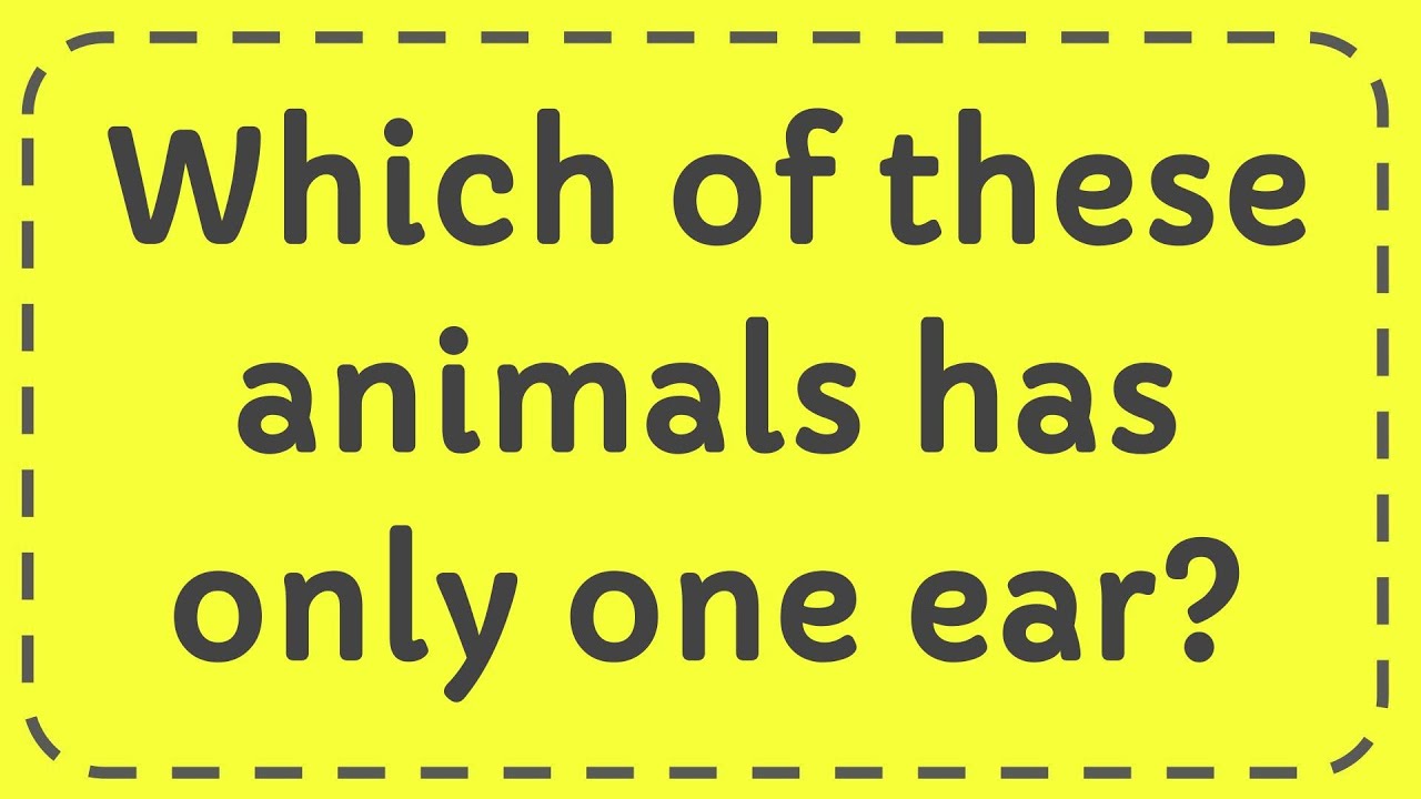 Which of these animals has only one ear? - YouTube