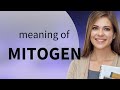 Mitogen  mitogen definition