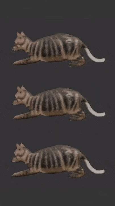 Download lagu uiao iiiuia