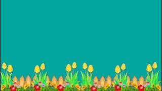 Gratis Green Screen Animasi Bunga Taman