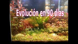 evolucion 90 dias
