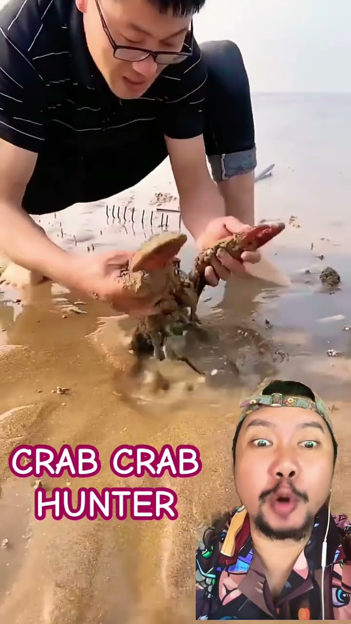 KEPITING DIPANTAI!!!?? #facts #beach #funny #comedy